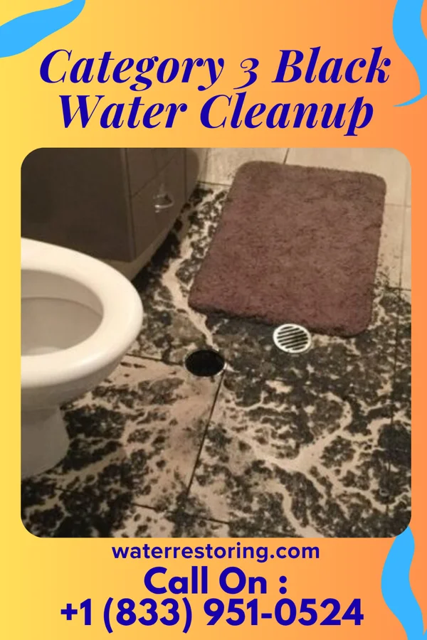 Category 3 Black Water Cleanup in Country Club Hills, MO